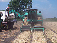 Custom Self-Propelled Two Bed Harvesters