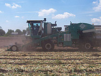 Harvesters for the Agricultural Industry Harvesters for the Agricultural Industry
