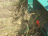 Harvesting Harvesting
