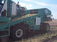Low Maintenance Mechanical Harvester Low Maintenance Mechanical Harvester