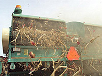 Onion Harvester for Agricultural Onion Harvester for Agricultural