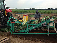 Seed Bed Harvester Harvest Aid