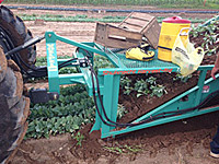 Seed Bed Harvester
