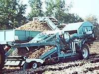 Custom Single Bed Onion Harvester Custom Single Bed Onion Harvester