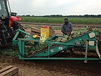 Seed Bed Harvester Harvest Aid Seed Bed Harvester Harvest Aid