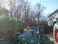 Cabbage Box Dumper 2 Cabbage Box Dumper 2