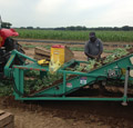 Seed Bed Harvester / Harvest Aid Seed Bed Harvester / Harvest Aid